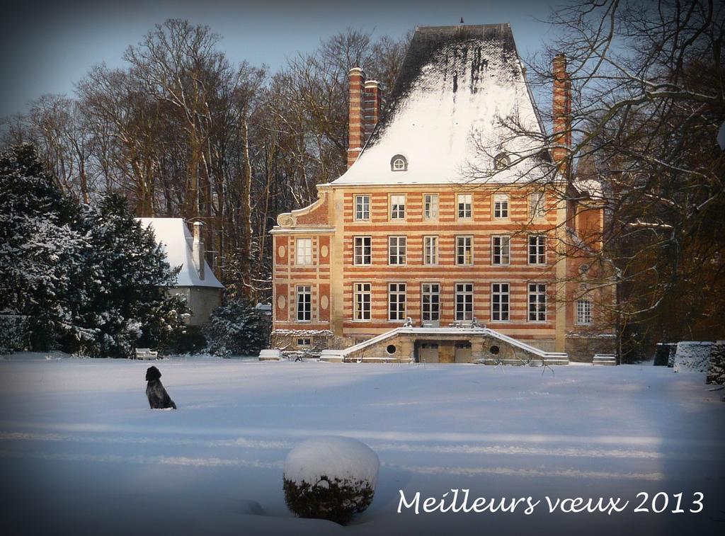 Chateau De Beneauville Bed and Breakfast Petiville  Buitenkant foto